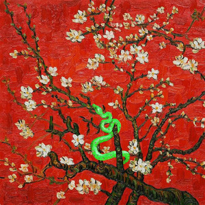 老挝裸休美女撒尿露脸视频
