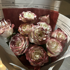 老挝裸休美女撒尿露脸视频
